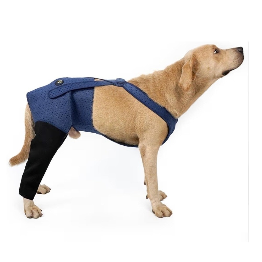 Coodeo Dog Recovery Suit, Cone Collar Alternative, Abrasion Resistant Size Small